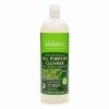 biokleen all purpose cleaner