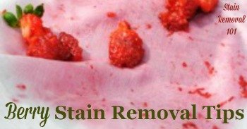 Berry stain removal tips