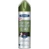 Blue Magic upholstery cleaner