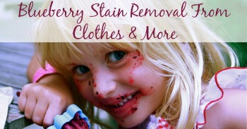 Blueberry stain removal from clothes and more