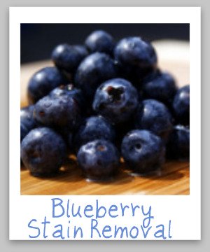 Blueberry stain removal guide