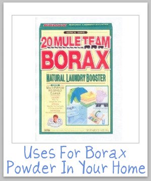 Round up of uses for Borax powder around your home, for cleaning, laundry, stain removal, odor control, as an ingredient in homemade cleaner recipes, and even for pest control {on Stain Removal 101}