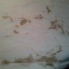 brown mystery stains from washing machine