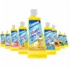 carbona stain removers