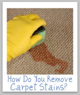 carpet stain removal tips