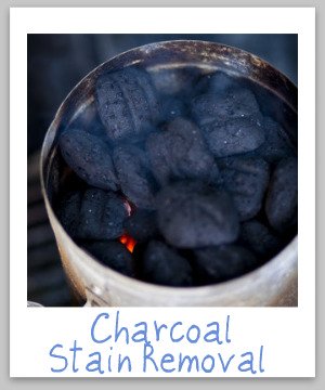 Charcoal stain removal guide for clothing, upholstery and carpet, with step by step instructions {on Stain Removal 101}