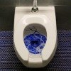 clean blue line in toilet