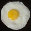 egg