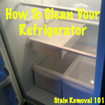How to clean your refrigerator inside and out, plus dealing with odors {on Stain Removal 101}