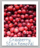 cranberry stains