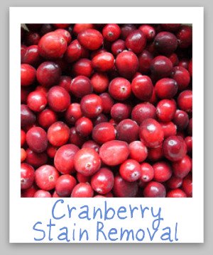 How to remove cranberry stains, such as from cranberry sauce or juice, from clothing, upholstery and carpet - just in time for Thanksgiving! {on Stain Removal 101}