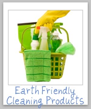 earth friendly cleanining products