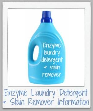 Enzyme Laundry Detergent Stain Removers Facts Instructions For Use How Enzyme Laundry Detergent And Stain Removers Work To Remove Stains Get Clothes Clean