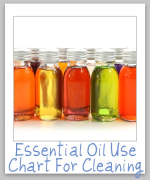 A list of the top 18 essential oils commonly added to homemade cleaning and laundry supplies, with what special properties each has, if any, what they smell like, and what scents they pair well with in this essential oil use chart {on Stain Removal 101}