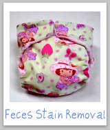 feces stain removal