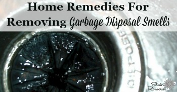 Home remedies for removing garbage disposal smells