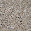 carpet macro