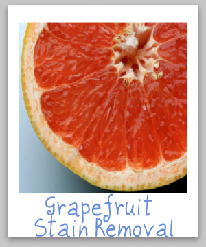 How to remove grapefruit juice stains from clothing, upholstery and carpet {on Stain Removal 101}