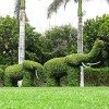 elephant topiary