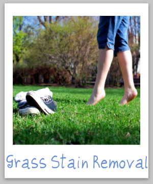 How to remove grass stains from clothing, upholstery and carpet with step by step instructions {on Stain Removal 101}