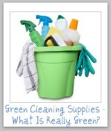 what's really a green cleaning supply