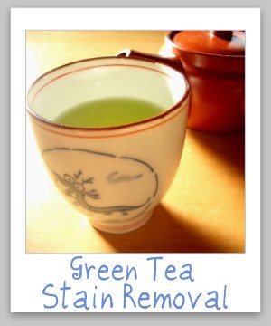 Green tea stain removal guide for clothing, upholstery and carpet {on Stain Removal 101}