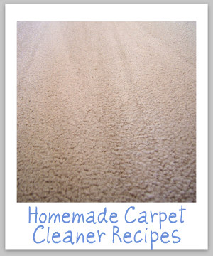 Several homemade carpet cleaner recipes, including a shampoo for spots, as well as two recipes for carpet cleaners {on Stain Removal 101}