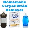 homemade carpet stain remover