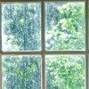 window glass