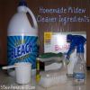 homemade mildew cleaner