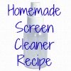homemade screen cleaner recipe