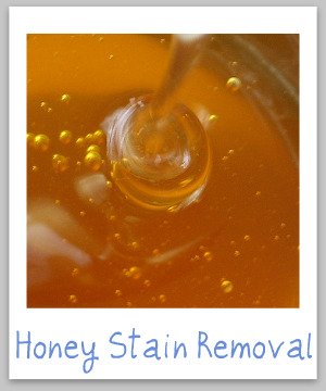 How to remove honey stains from clothing, upholstery and carpet, with step by step instructions {on Stain Removal 101}
