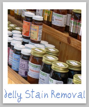 Jelly stain removal guide, with step by step instructions for removing spots and spills on clothing, upholstery and carpet {on Stain Removal 101}