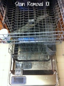 inside dishwasher after using Lemi Shine pacs for week