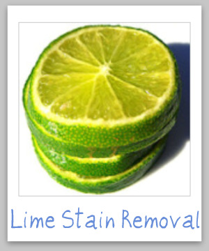 Lime stain removal guide, with step by step instructions for clothing, upholstery and carpet {on Stain Removal 101}