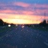 bugs on windshield