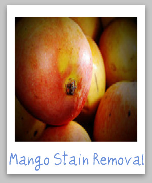 Mango stain removal guide for clothing, upholstery and carpet {on Stain Removal 101}