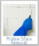 cleaning mildew