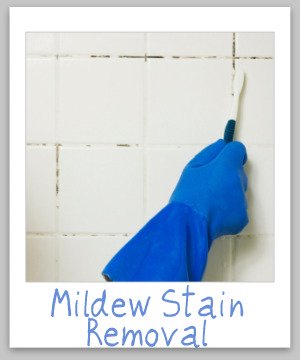 mildew stain removal