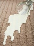 milk stains on carpet