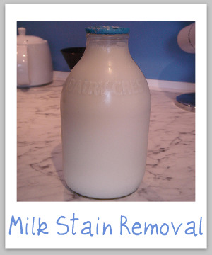 Milk stain removal guide for clothing, upholstery and carpet {on Stain Removal 101}