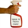 natural all purpose cleaner