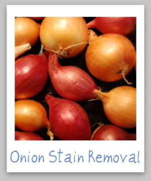 How to remove onion stains from clothing, upholstery and carpet, with step by step instructions {on Stain Removal 101}