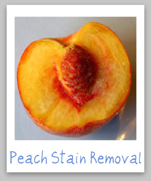 Peach juice stain removal guide with step by step instructions for removing peach stains from clothing, upholstery and carpet {on Stain Removal 101}