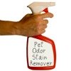 pet odor stain remover