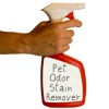 pet odor stain remover