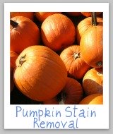 pumpkin stain removal