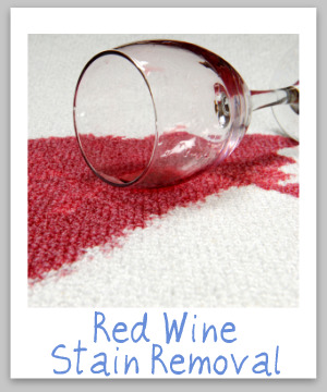 Red wine stain removal guide for clothing, upolstery and carpet {on Stain Removal 101}