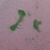 green gum on clothing