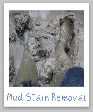 How to remove mud stains from clothes, upholstery and carpet, with step by step instructions {on Stain Removal 101}